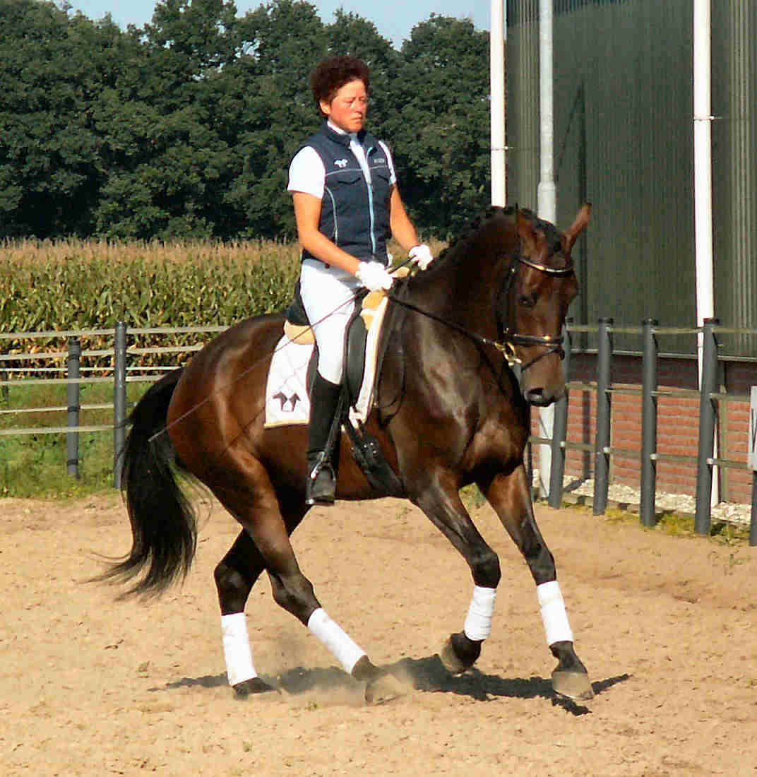 canter1_50.jpg (125560 bytes)