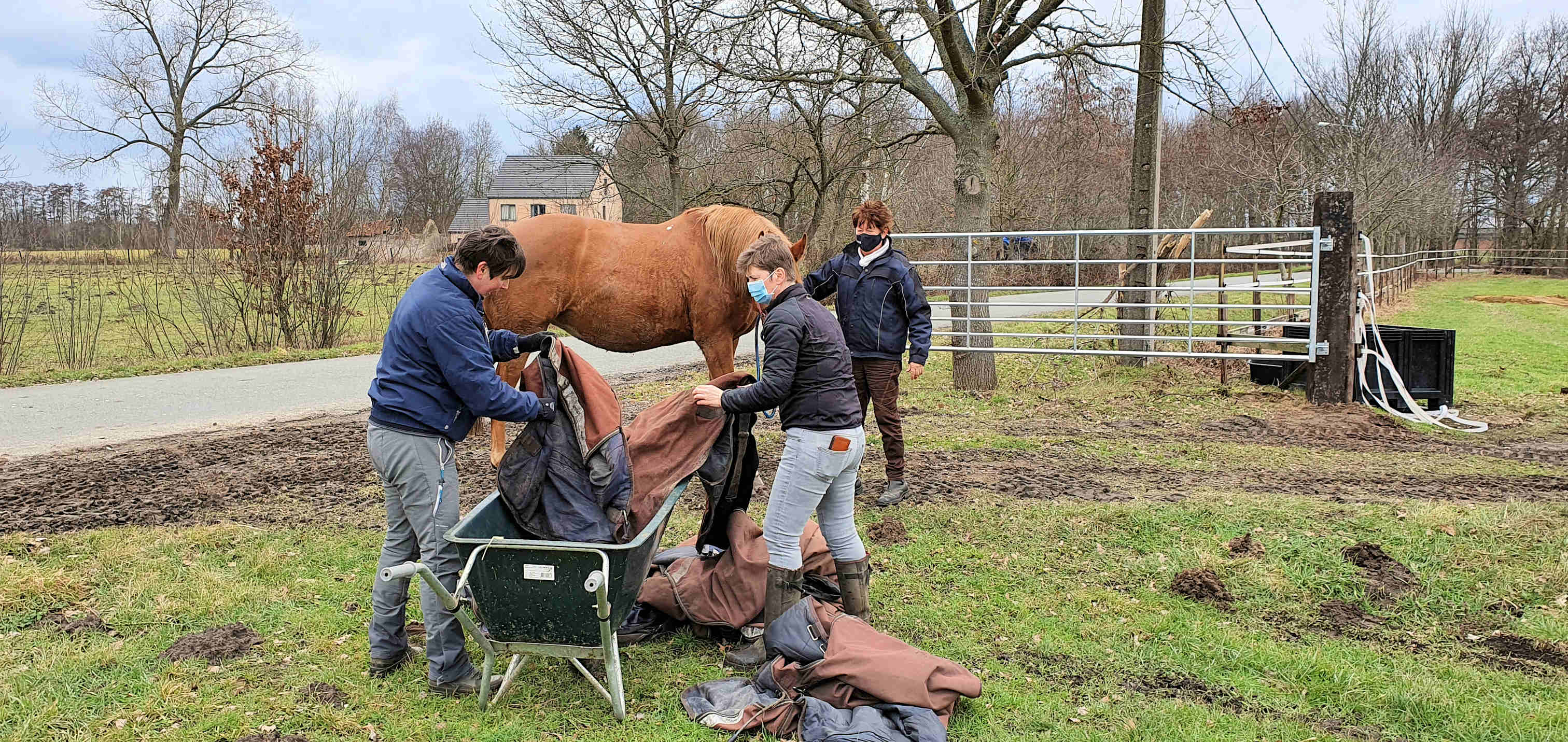 Havadora mag er als laatste uit