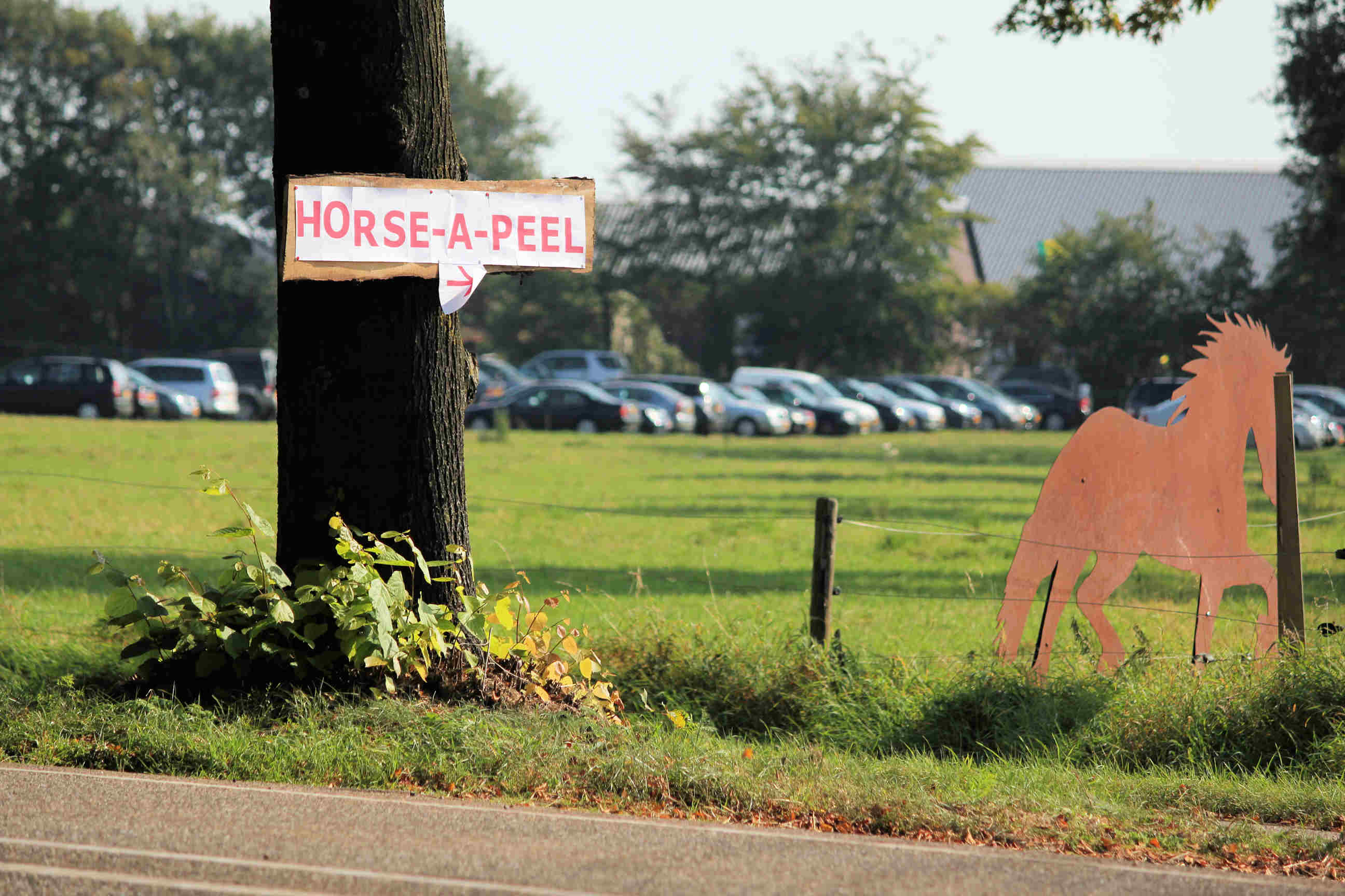 Horse A Peel 1