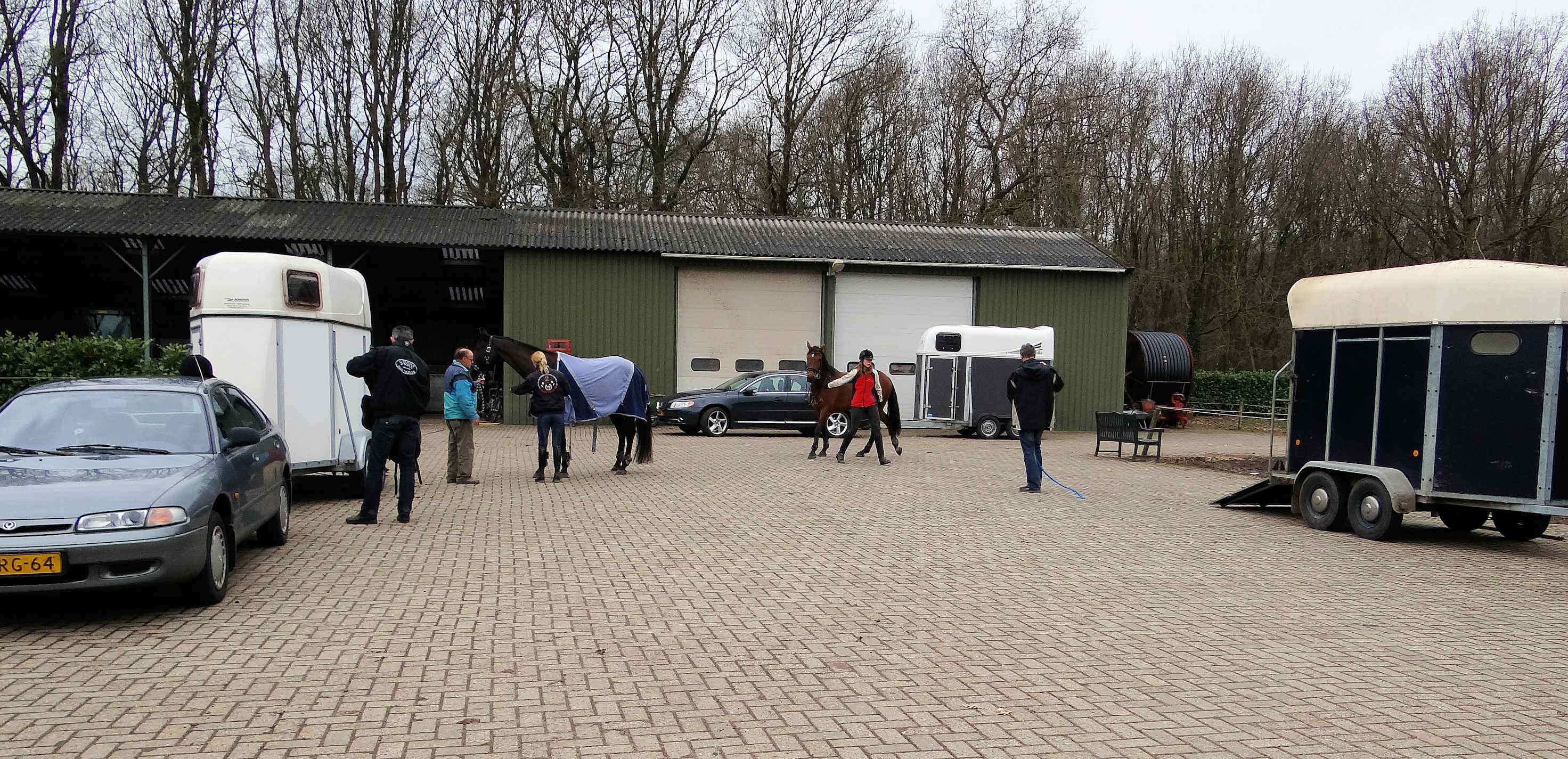 Saddle Fitting Workshop Boxmeer 2013